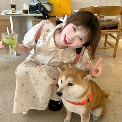白昼焰火微澜
